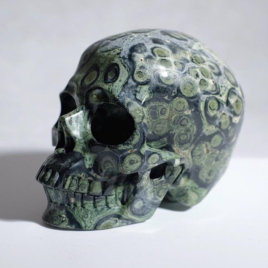 Large Kambaba Jasper Crystal Skull | Kambaba Skull