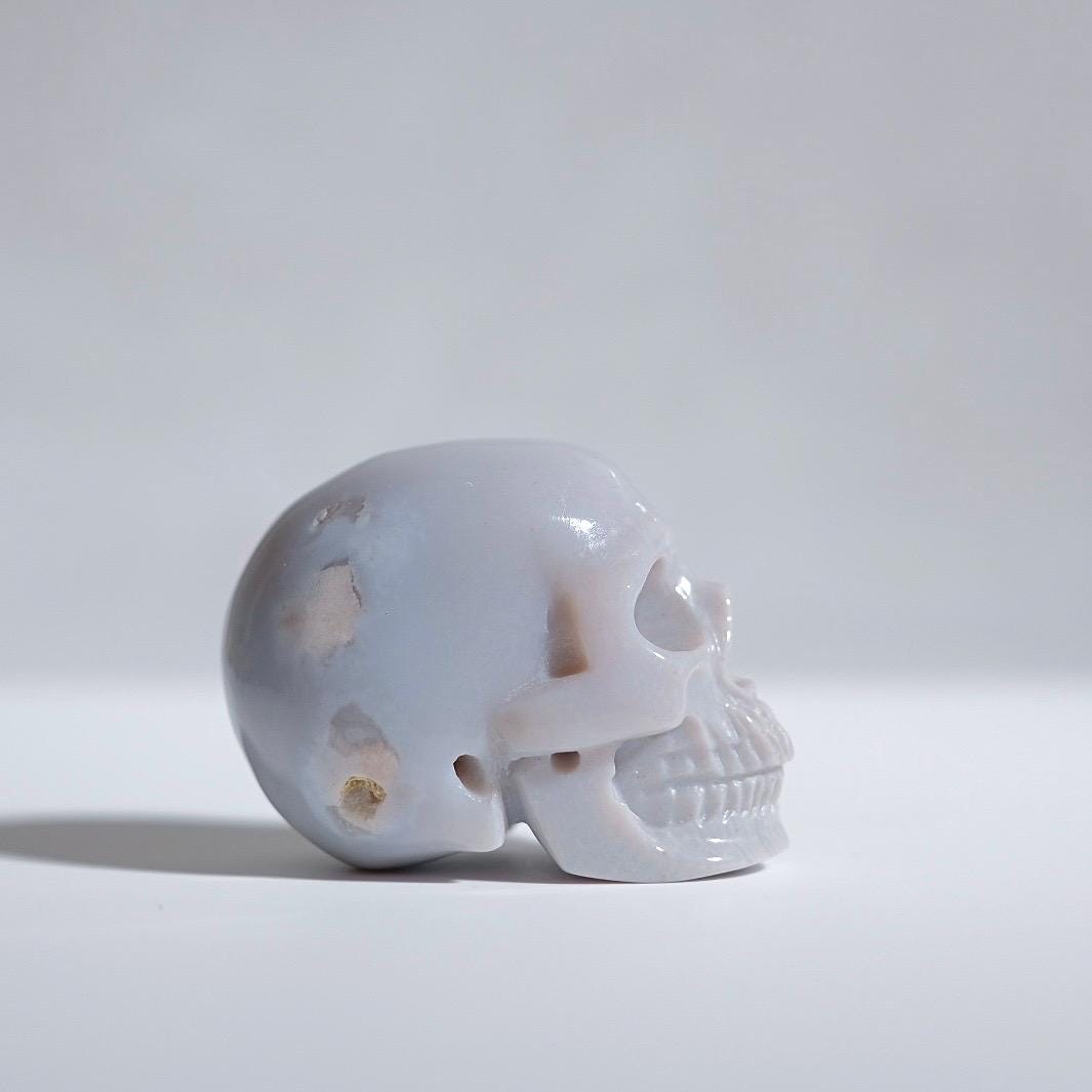 Pastel Banded Agate Crystal Skull | Flower Agate Skull