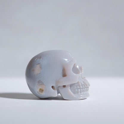 Pastel Banded Agate Crystal Skull | Flower Agate Skull