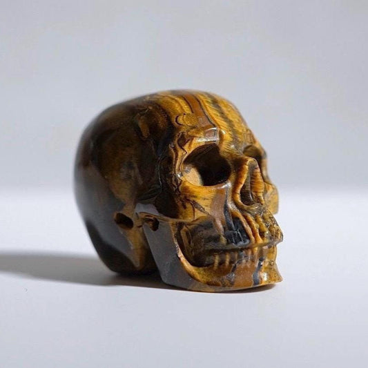 Tiger Eye Crystal Skull | Tigers Eye Skull