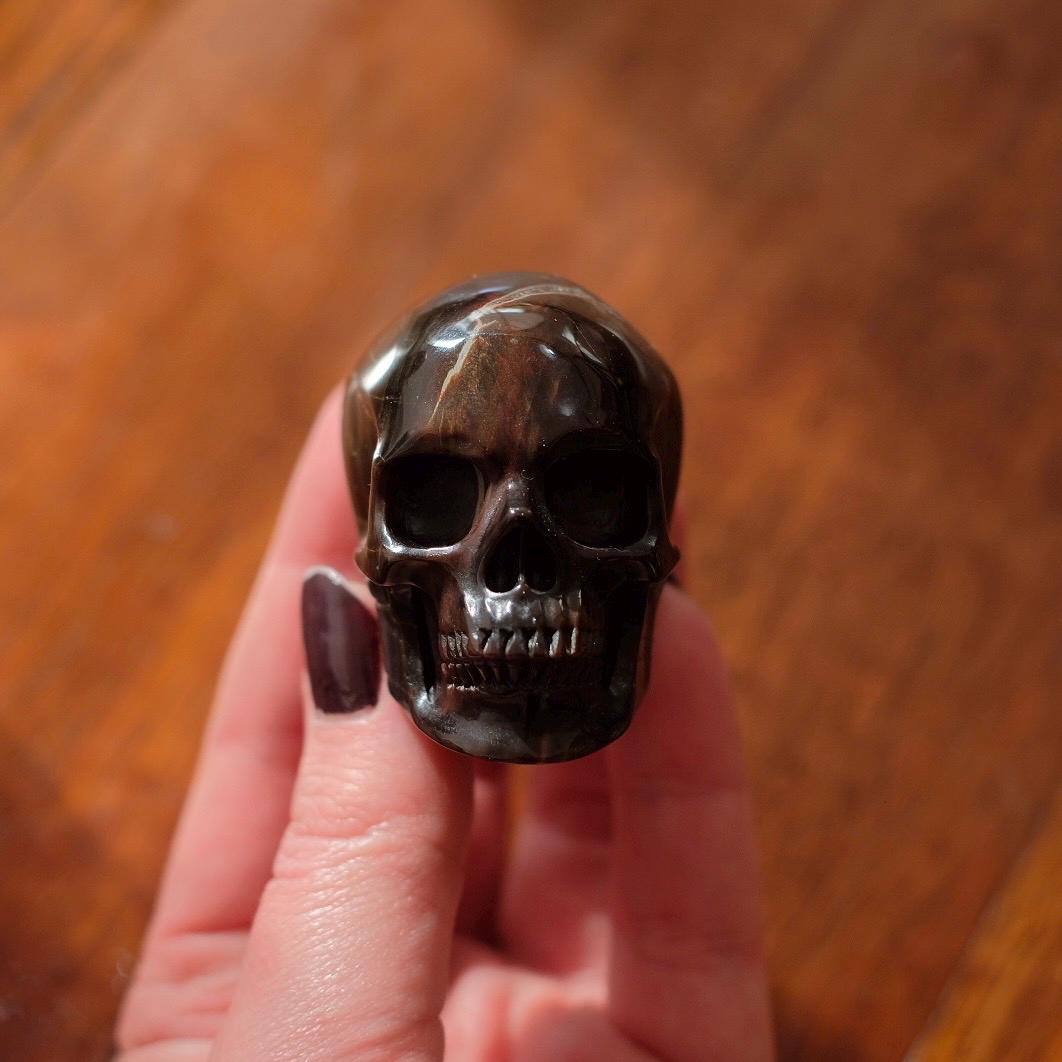 Petrified Wood Crystal Skull | Fossil Wood Skull