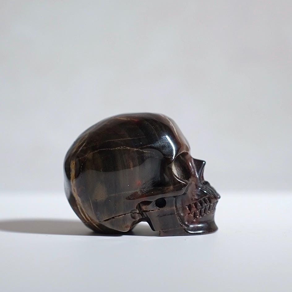 Petrified Wood Crystal Skull | Fossil Wood Skull