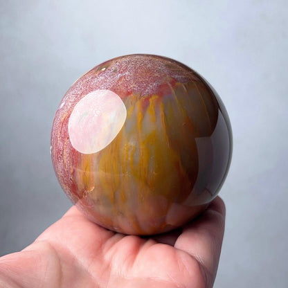 Petrified Wood Sphere | Fossilized Wood Crystal Sphere