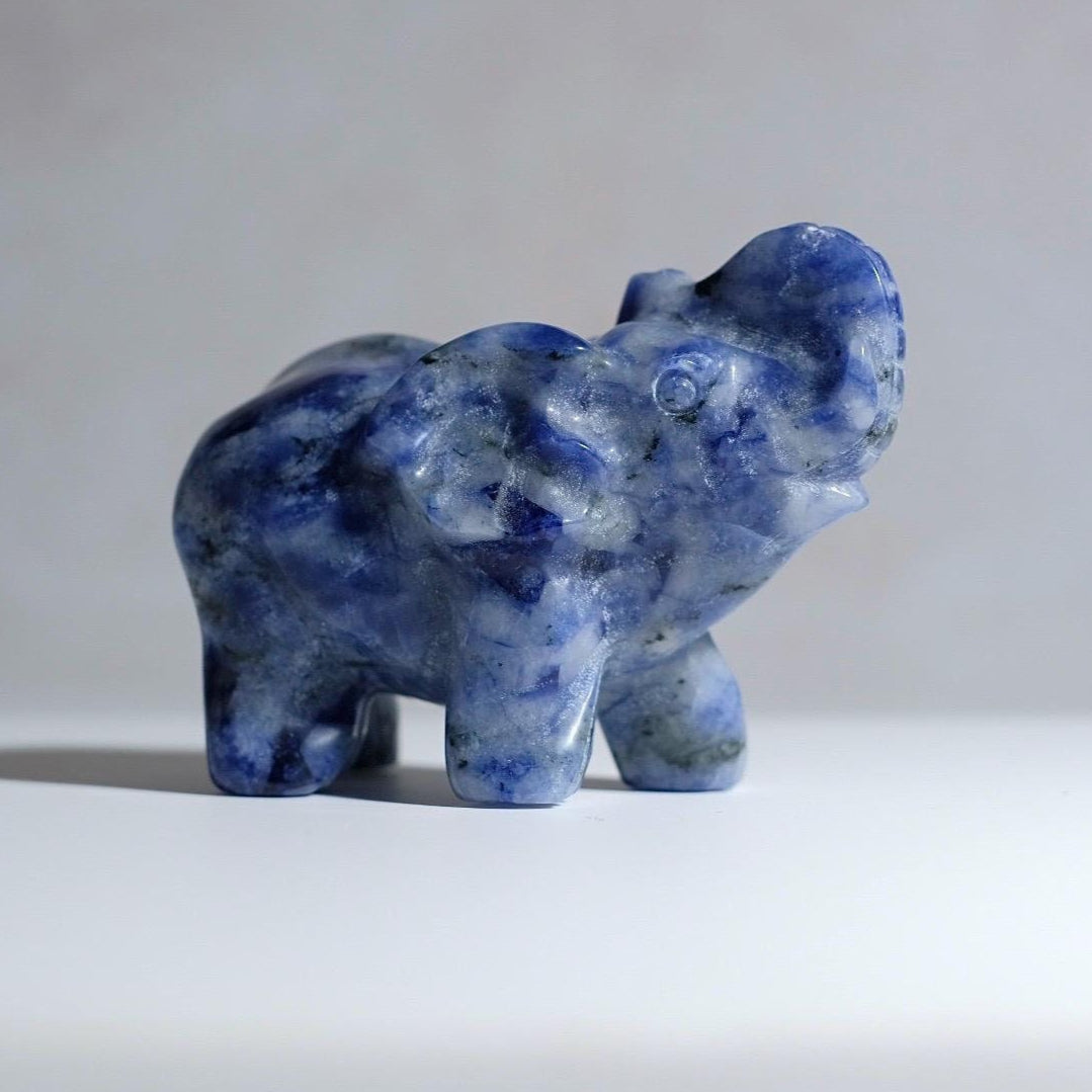 UV Reactive Sodalite Elephant Carving | Crystal Animal Carving