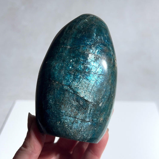 Flashy Apatite Freeform | Polished Crystal Freeform