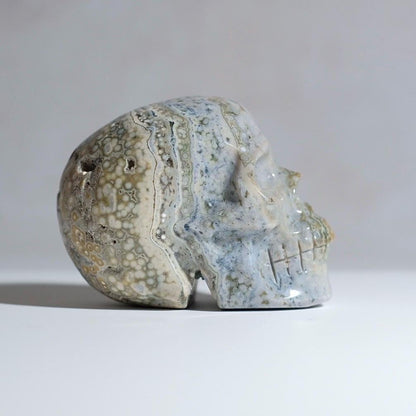 Ocean Jasper Crystal Skull | Orbicular Jasper Stone Skull