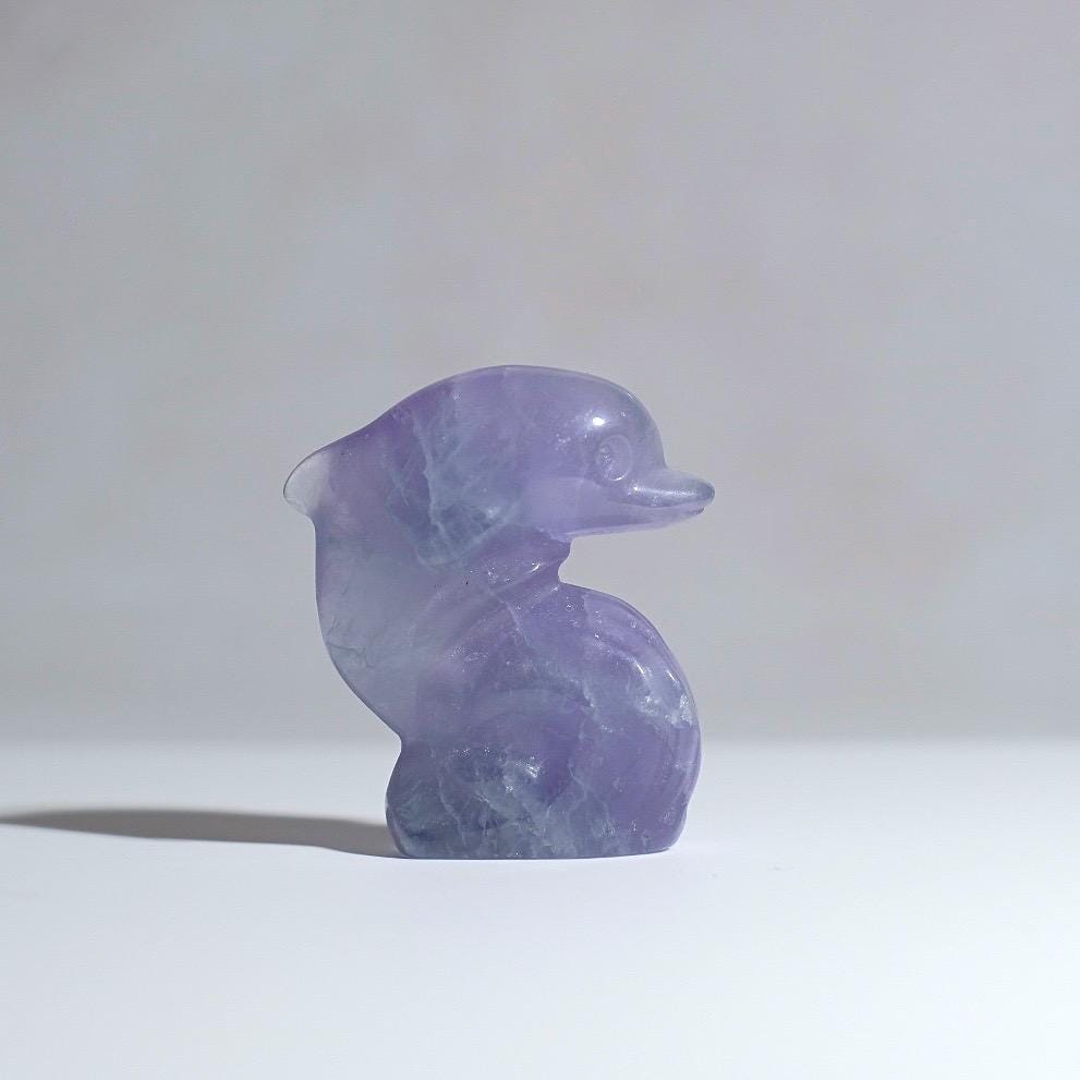 Tanzanite Fluorite Dolphin Carving | Crystal Dolphin