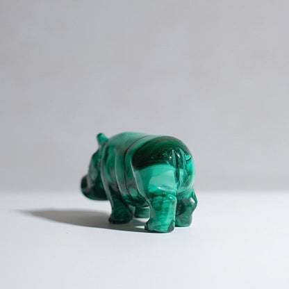 Malachite Hippo Carving | Crystal Animal Carving | Animal Totem