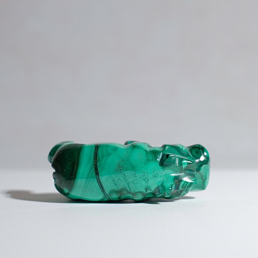 Malachite Hippo Carving | Crystal Animal Carving | Animal Totem