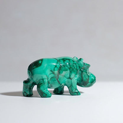 Malachite Hippo Carving | Crystal Animal Carving | Animal Totem