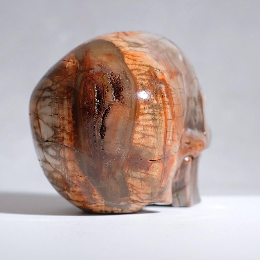 Large Petrified Wood Crystal Skull | Fossilised Wood Skull