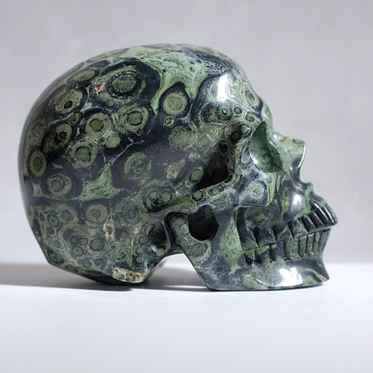 Large Kambaba Jasper Crystal Skull | Kambaba Skull