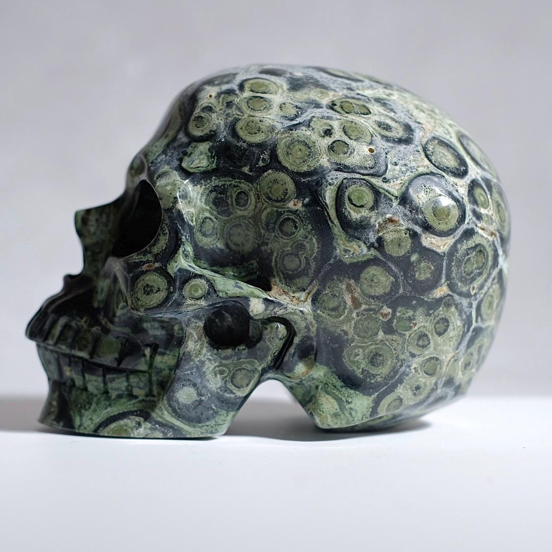 Large Kambaba Jasper Crystal Skull | Kambaba Skull