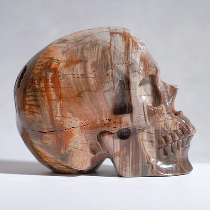 Large Petrified Wood Crystal Skull | Fossilised Wood Skull