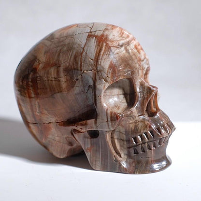 Large Petrified Wood Crystal Skull | Fossilised Wood Skull