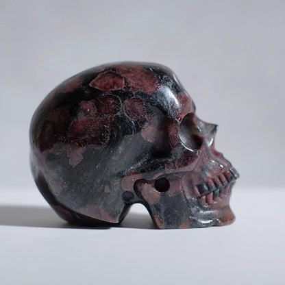 Arfvedsonite & Garnet Crystal Skull | Garnet Skull