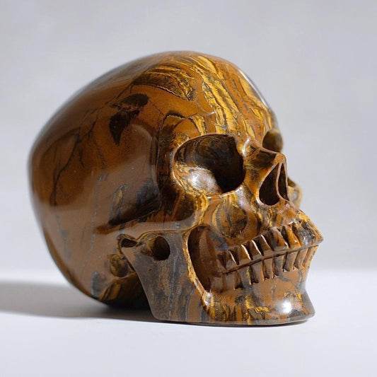 Tiger Eye Crystal Skull | Tiger Iron Skull