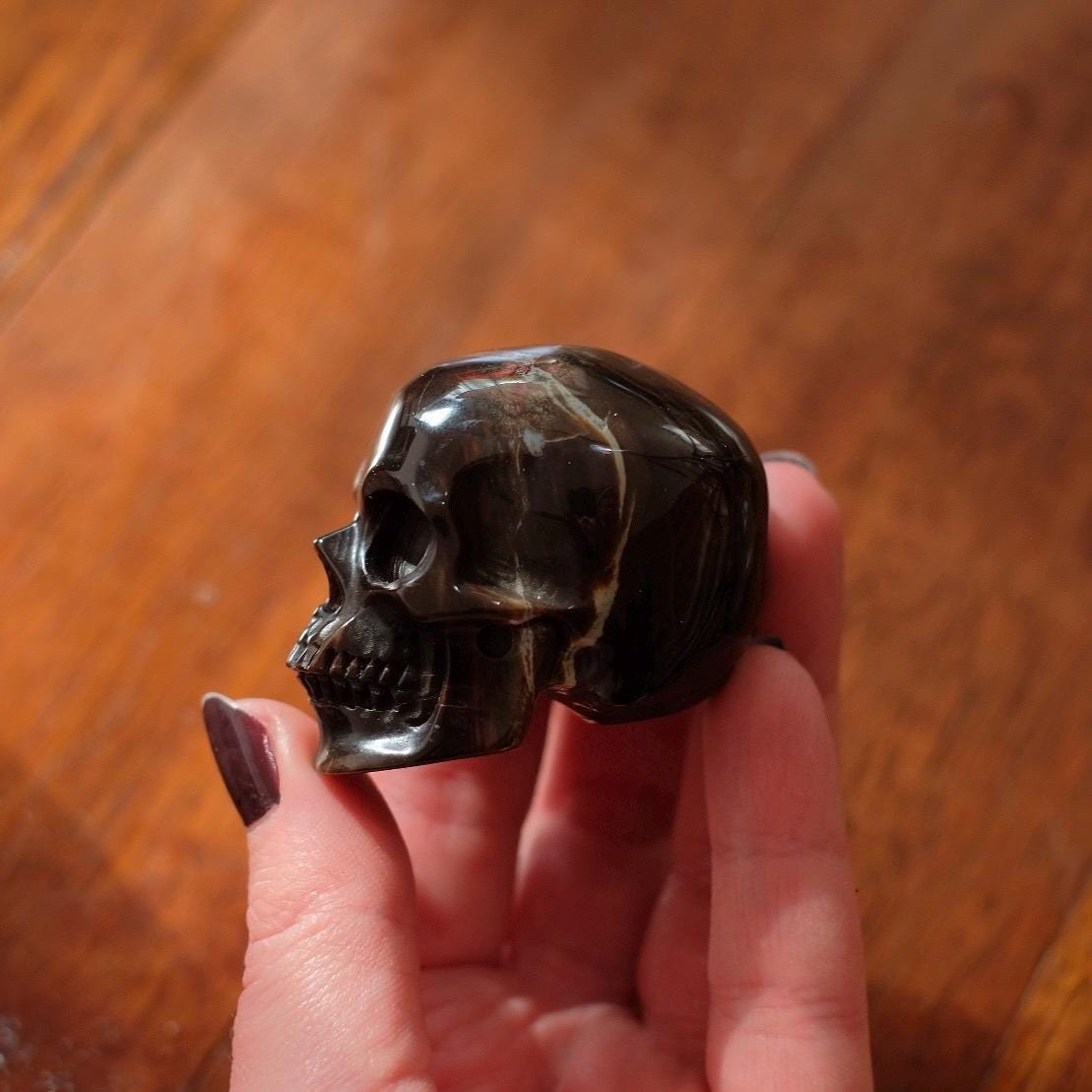 Petrified Wood Crystal Skull | Fossil Wood Skull