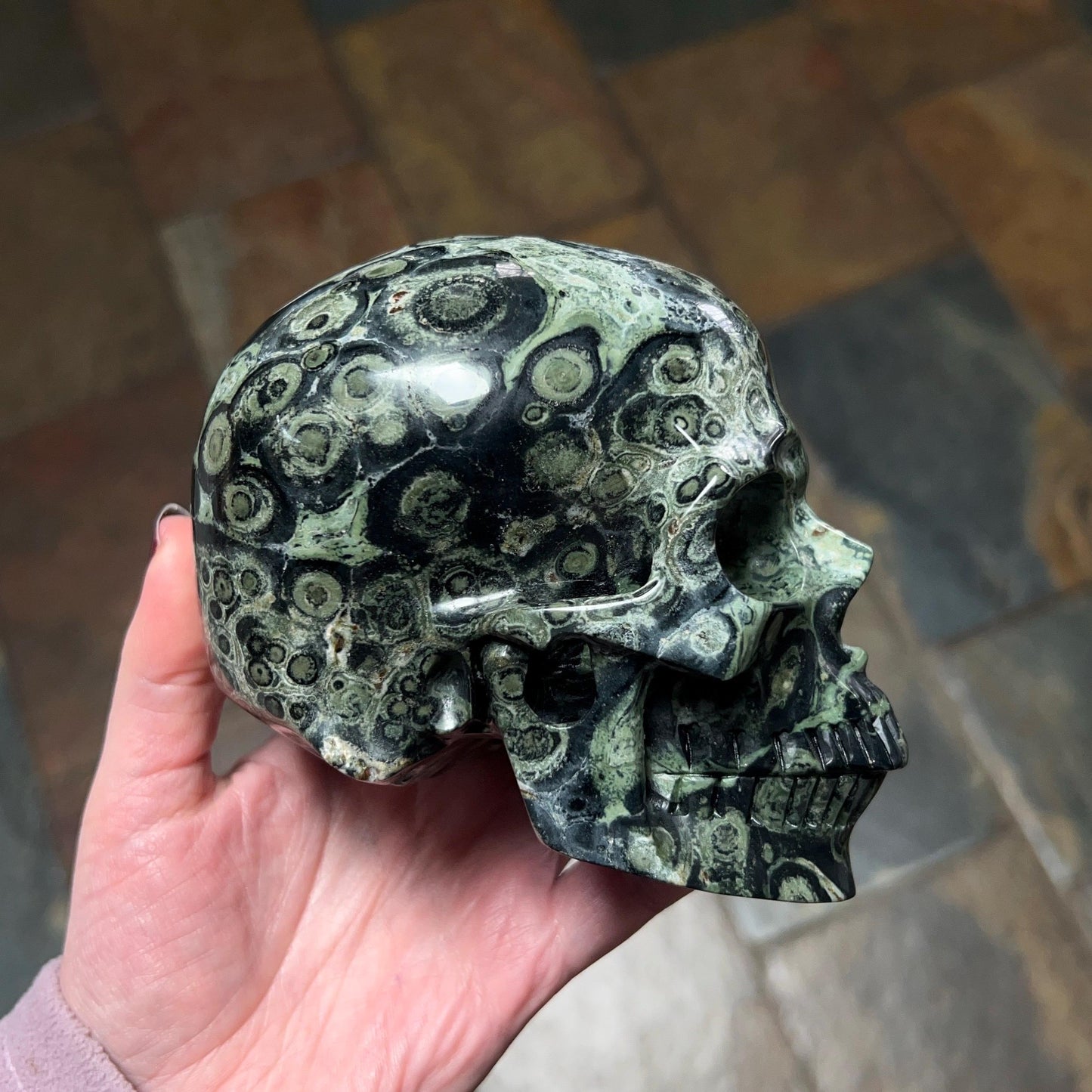 Large Kambaba Jasper Crystal Skull | Kambaba Skull