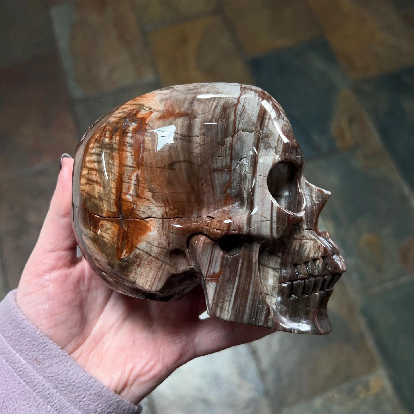 Large Petrified Wood Crystal Skull | Fossilised Wood Skull