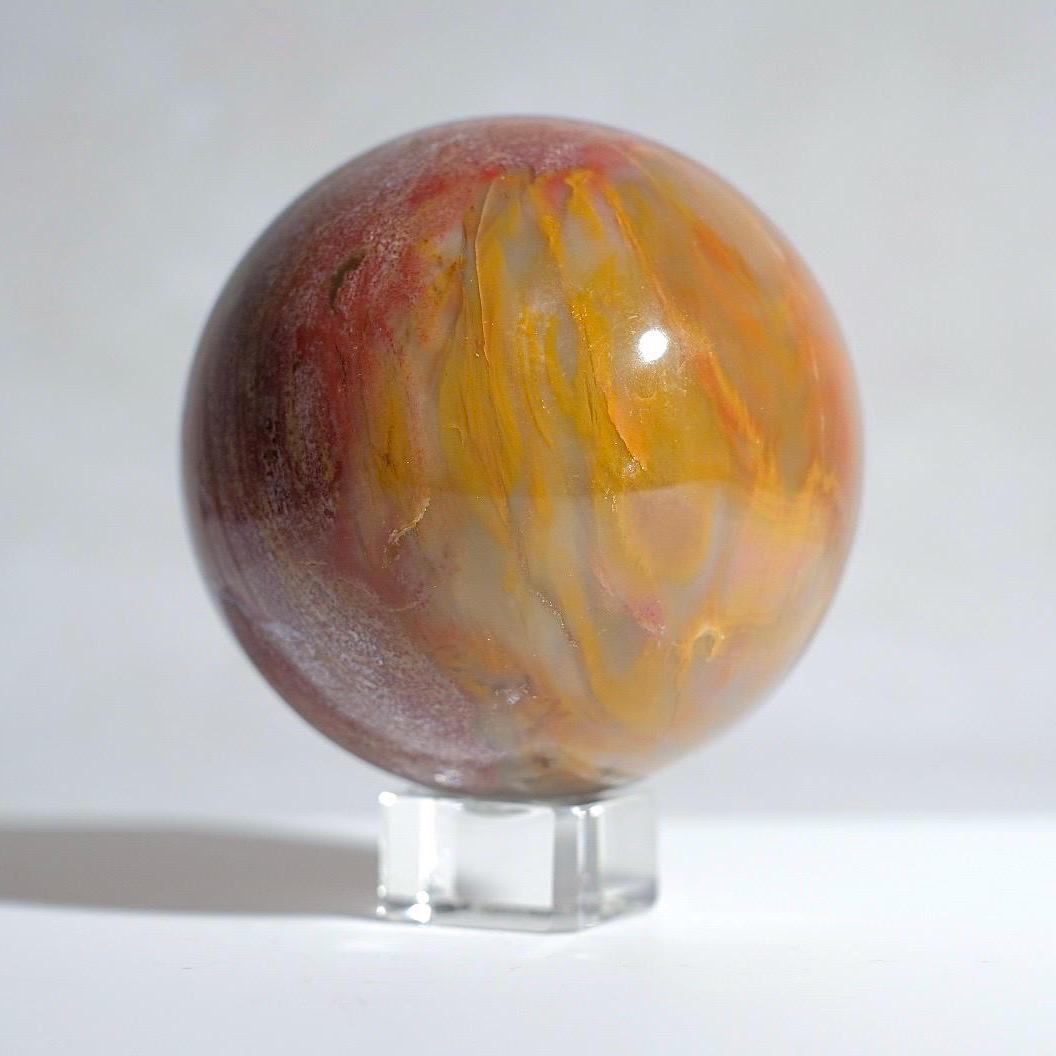 Petrified Wood Sphere | Fossilized Wood Crystal Sphere