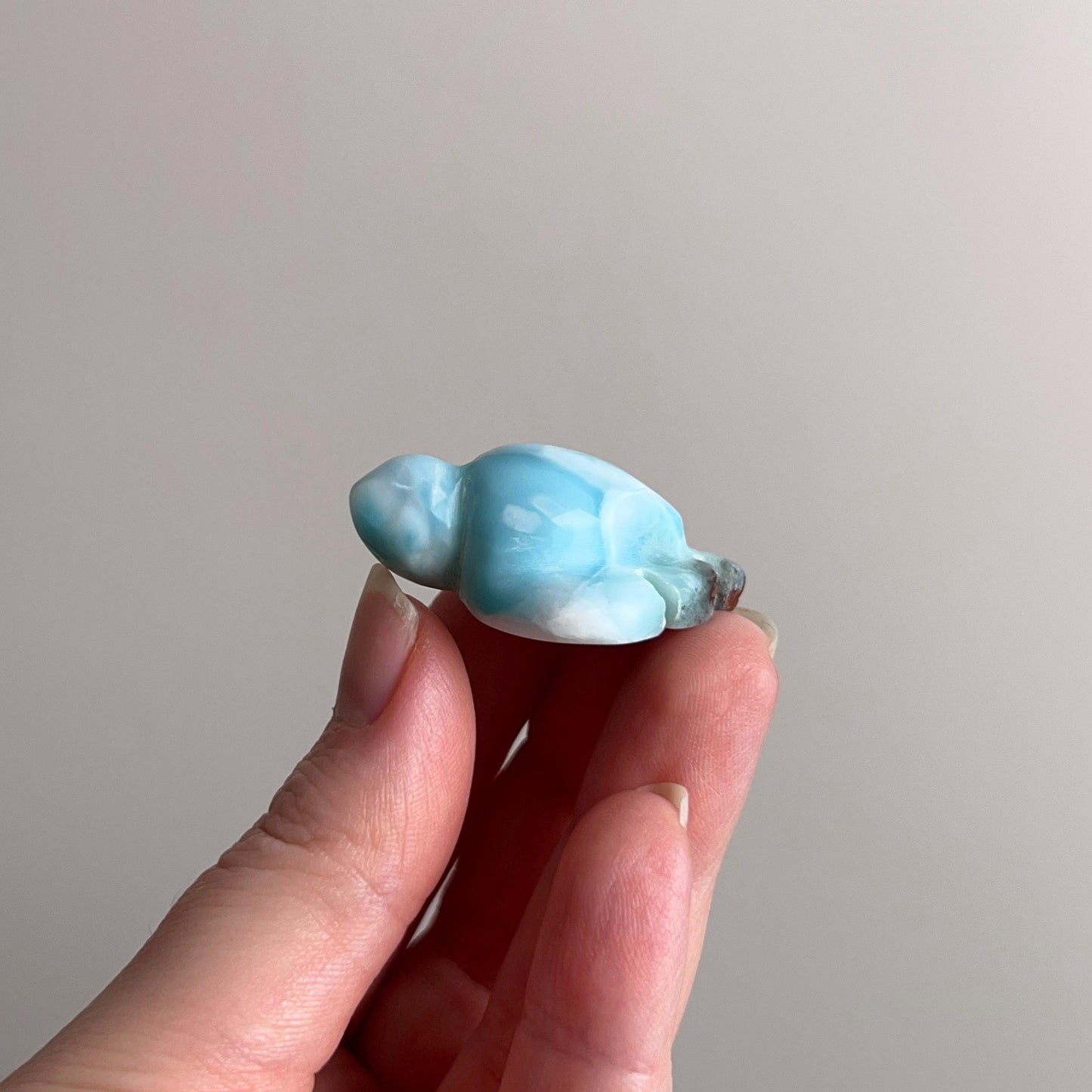 Larimar Turtle Carving | Crystal Animal | Crystal Turtle