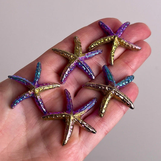 Bismuth Starfish Carving | Rainbow Bismuth Crystal