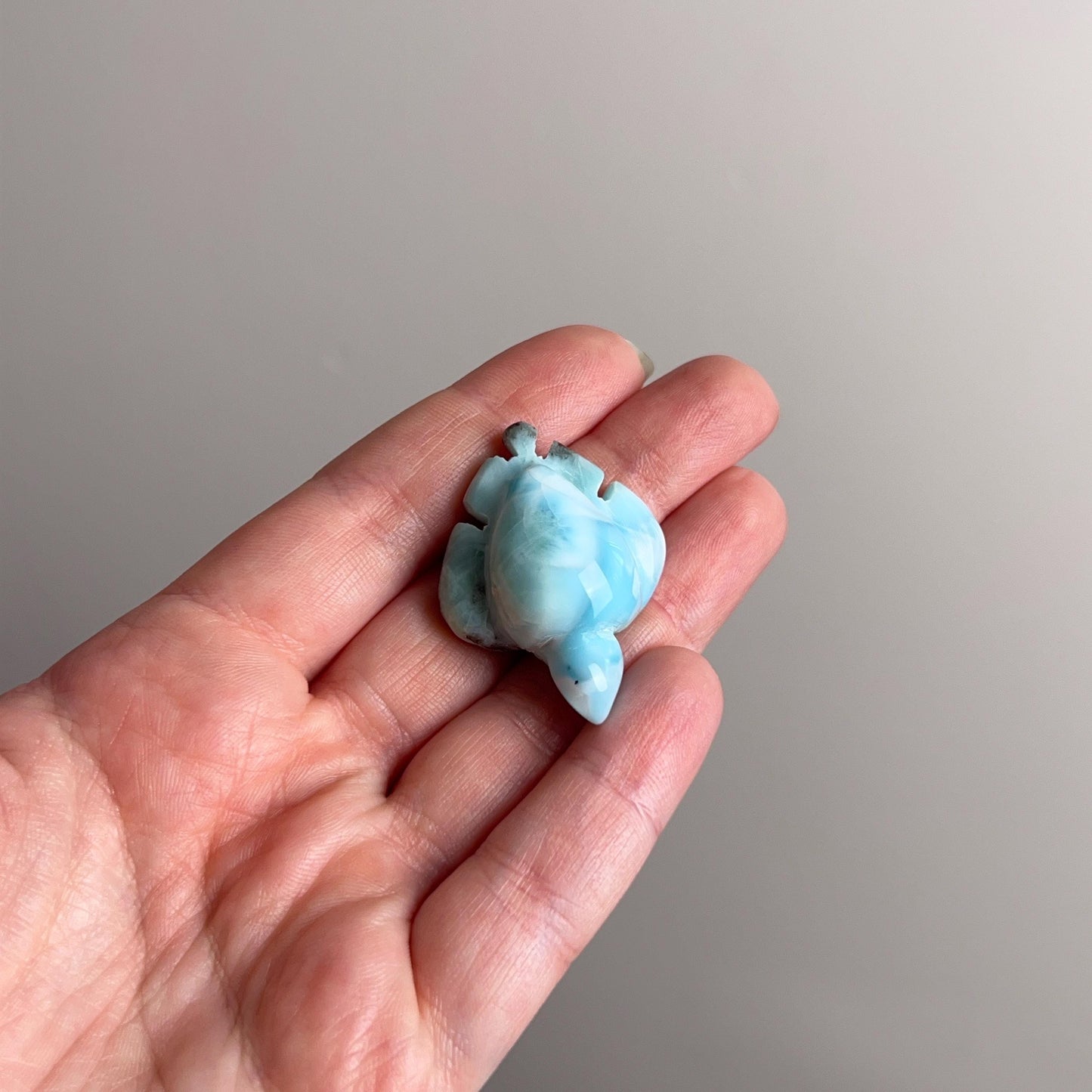 Larimar Turtle Carving | Crystal Animal | Crystal Turtle