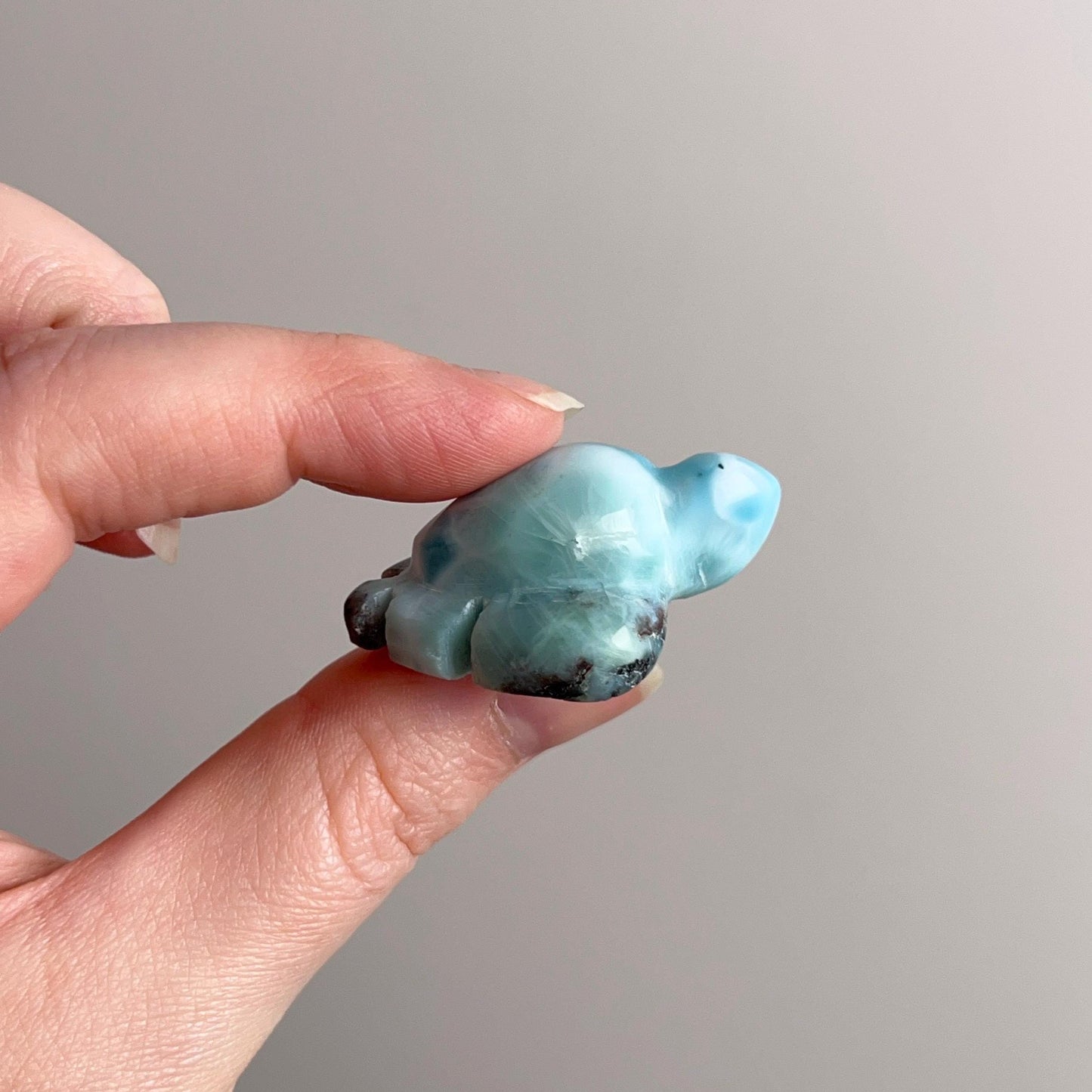 Larimar Turtle Carving | Crystal Animal | Crystal Turtle