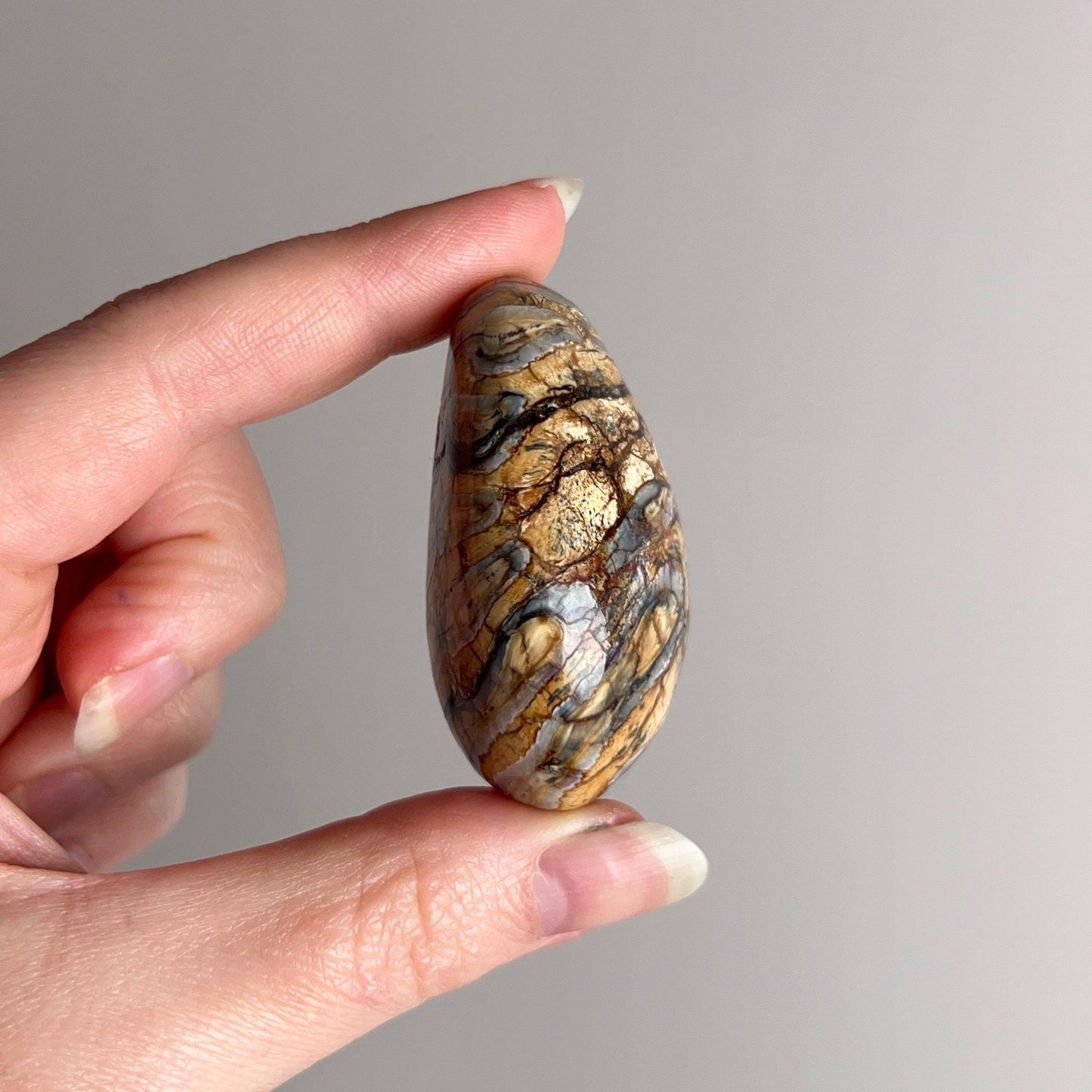 Rare Mammoth Molar Palm | Real Polished Wooly Mammoth Molar Tooth