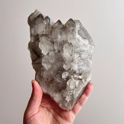 Elestial Smokey Quartz Specimen | Elestial Quartz Cluster