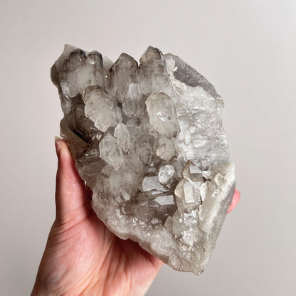 Elestial Smokey Quartz Specimen | Elestial Quartz Cluster