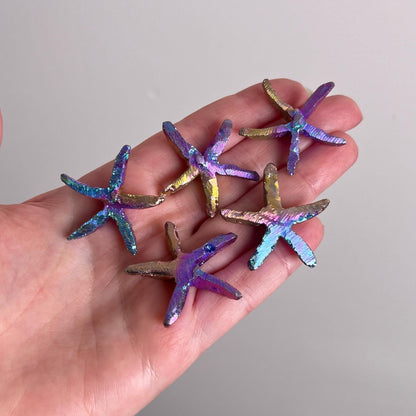 Bismuth Starfish Carving | Rainbow Bismuth Crystal