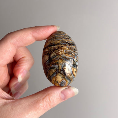 Rare Mammoth Molar Palm | Real Polished Wooly Mammoth Molar Tooth