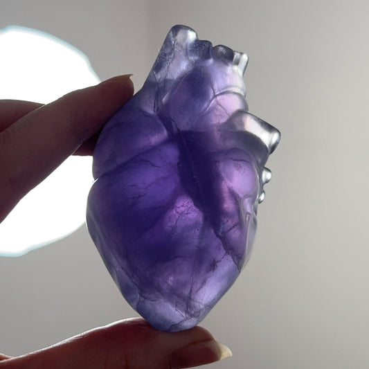 Tanzanite Fluorite Anatomical Heart Carving | Human Crystal Heart