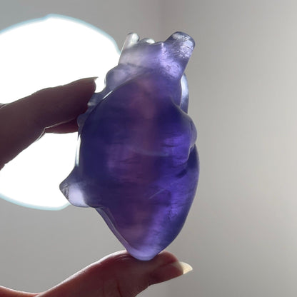 Tanzanite Fluorite Anatomical Heart Carving | Human Crystal Heart