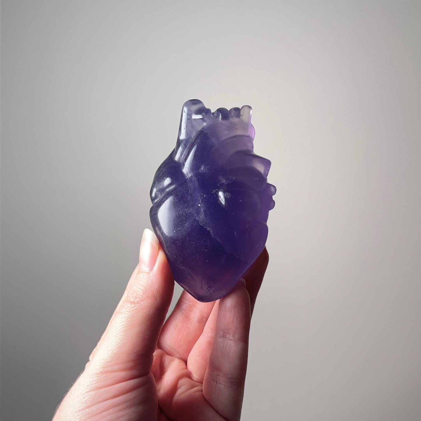 Tanzanite Fluorite Anatomical Heart Carving | Human Crystal Heart