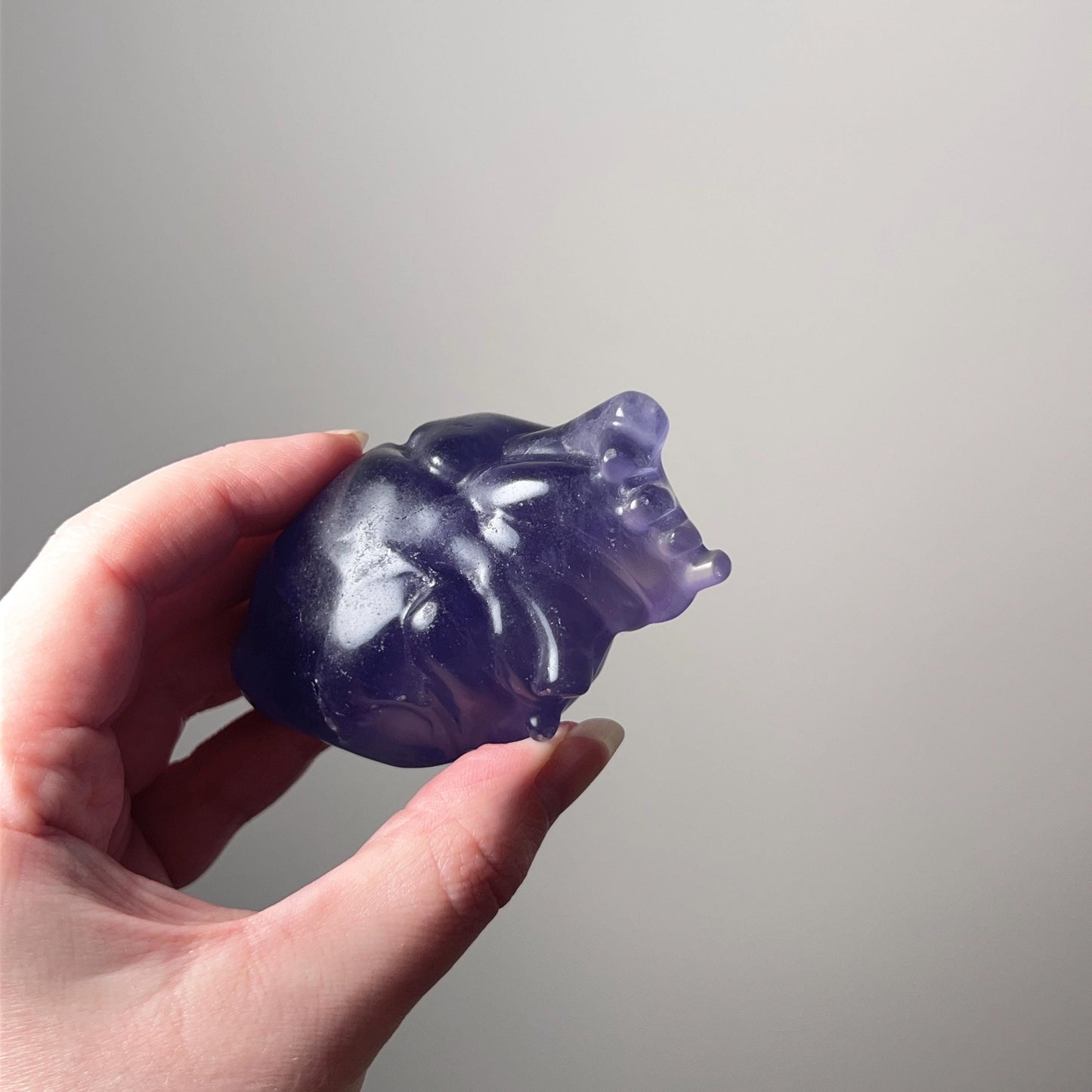 Tanzanite Fluorite Anatomical Heart Carving | Human Crystal Heart