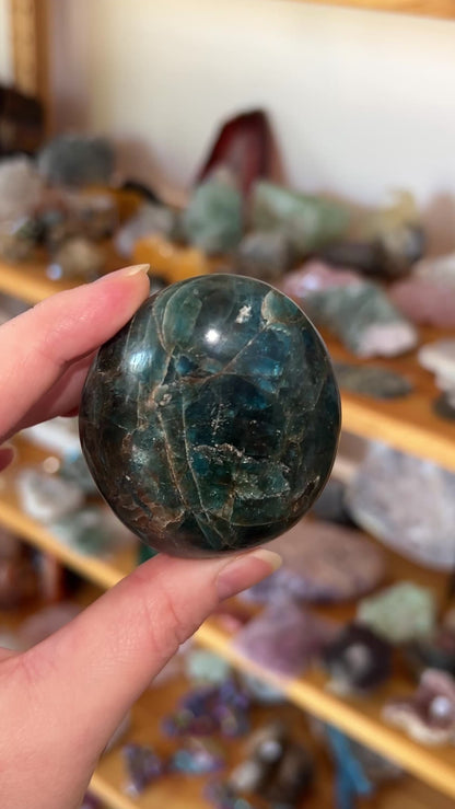 XL Apatite Palm | Dark Teal Blue Apatite Crystal Palmstone