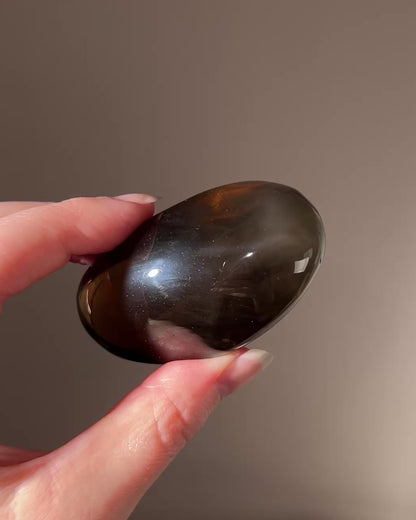 Rare Smokey Citrine Palm with Star Asterism | Crystal Palmstone