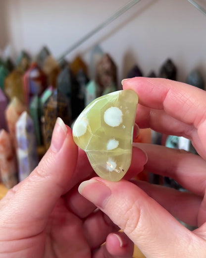 Australian Prehnite Freeform | Polished Prehnite Crystal