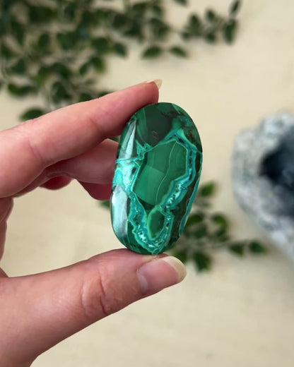 Malachite Palm | Malachite Chrysocolla Crystal Palm