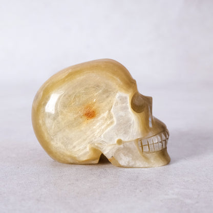 Gem Golden Mica Crystal Skull | Rare Flashy Mica Skull