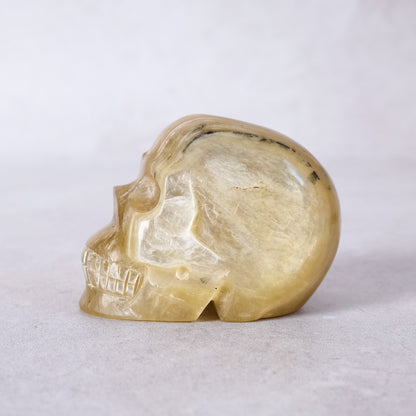 Gem Golden Mica Crystal Skull | Rare Flashy Mica Skull