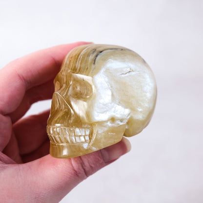 Gem Golden Mica Crystal Skull | Rare Flashy Mica Skull