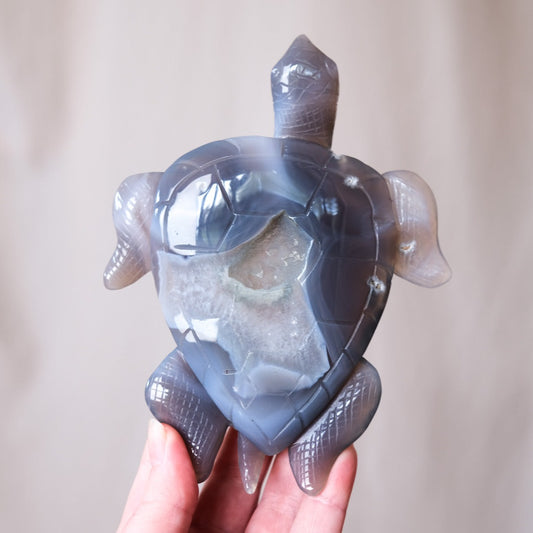 Agate Turtle Carving | Druzy Geode