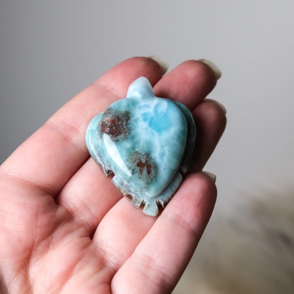 Larimar Turtle Carving | Crystal Animal | Crystal Turtle