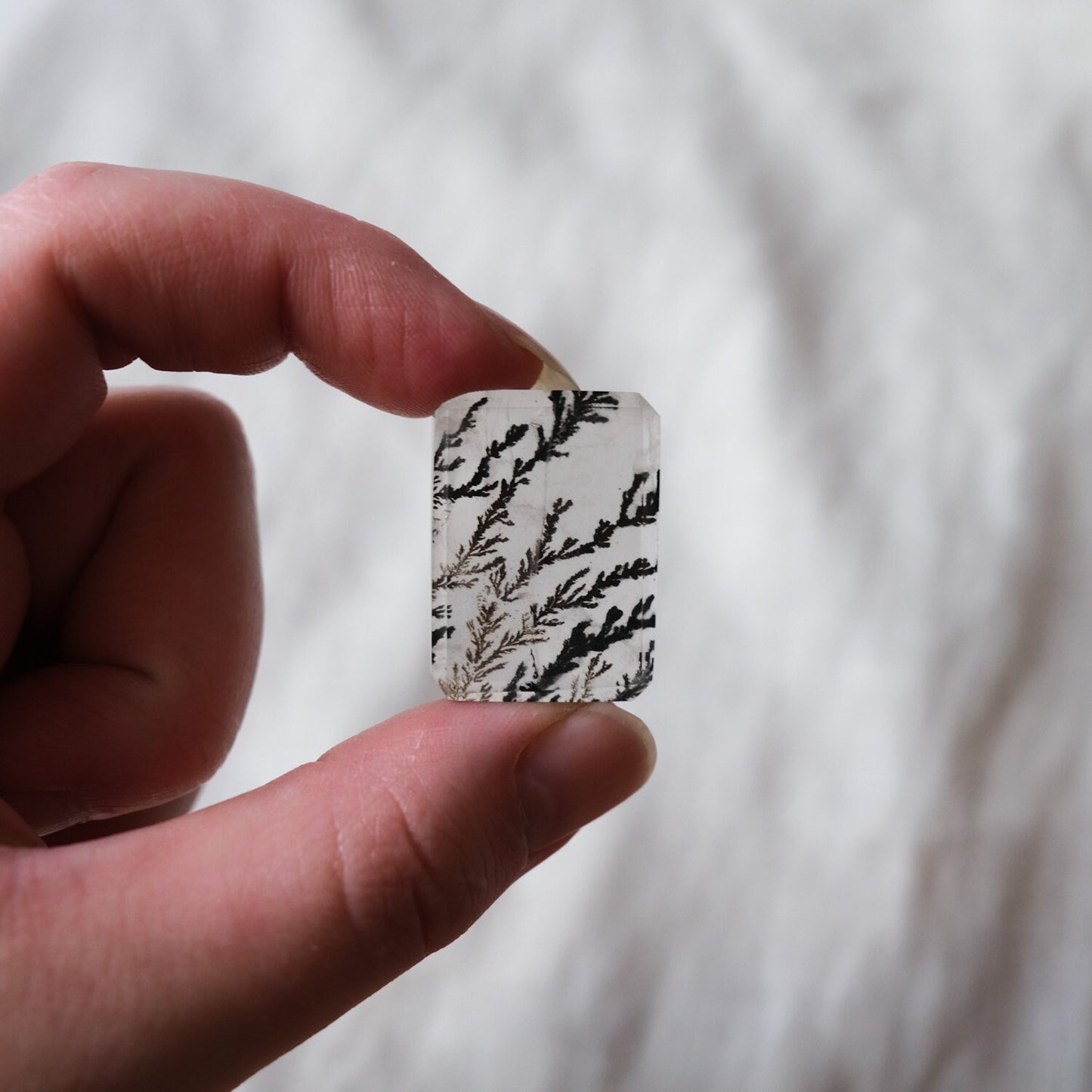 Dendritic Quartz Freeform
