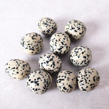 Dalmation Jasper Tumbles | Crystal Tumble Stones