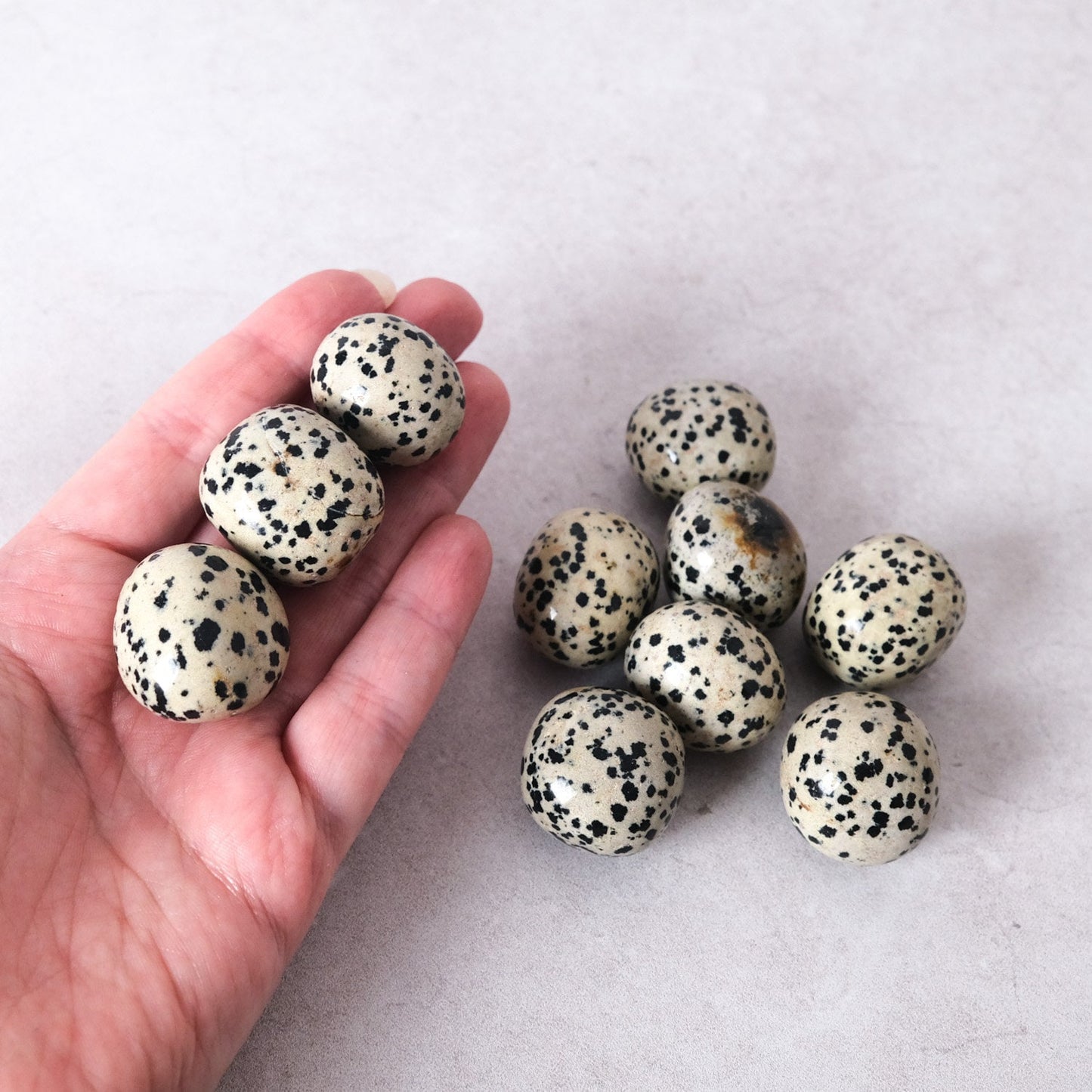 Dalmation Jasper Tumbles | Crystal Tumble Stones